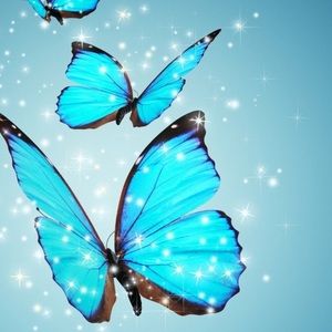 Meet your Posher, Katelyn